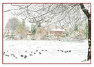 GREETING CARD: Mere Pond, Walton-on-the-Hill