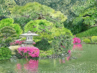 Japanese Water Garden in Shinjuku Gyoen