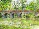 Leatherhead Bridge with Swans