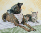 Lola and Tarzan (Dog & Cat Portrait)